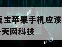 聊天记录恢复宝苹果手机应该怎么下载-{技术在线接活}-天网科技