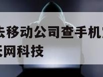 手机掉了能去移动公司查手机定位吗-{技术在线接活}-天网科技