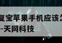 聊天记录恢复宝苹果手机应该怎么下载-{技术在线接活}-天网科技